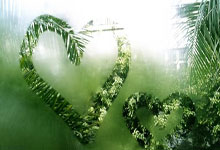 leyu乐鱼体育-科隆战车碾碎汉诺威！德甲黑马狂飙7连胜，保级队主场沦陷在即