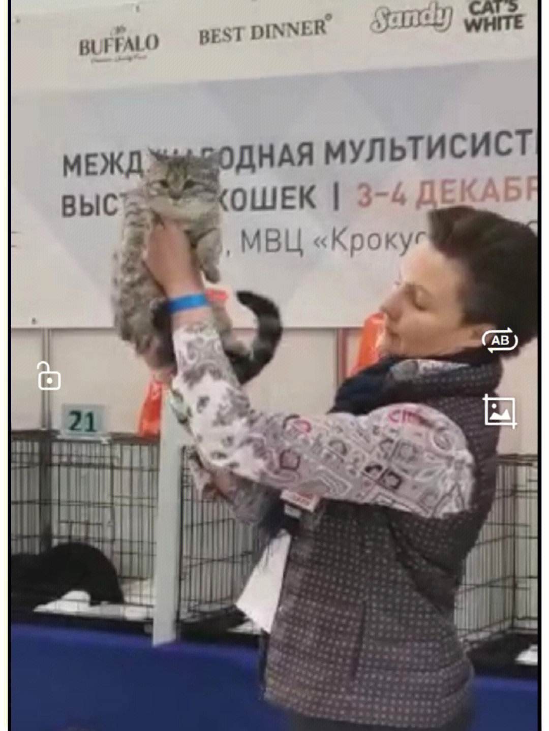 乌克兰球队获得辉煌的冠军头衔 乌克兰球队获得辉煌的冠军头衔