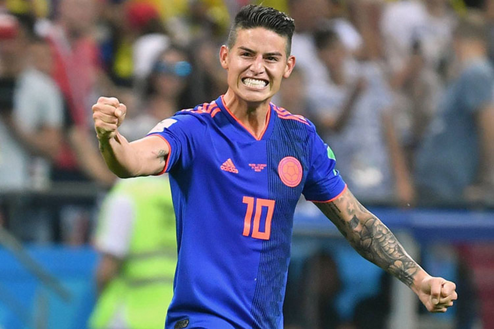 塞内加尔队实力逐步增强,备受瞩目 塞内加尔队实力逐步增强,备受瞩目